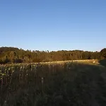 Au Pays De Jacquou D'hotes Et Table D'hotes En Dordogne