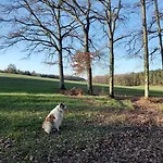 Bed and Breakfast Au Pays De Jacquou D'hotes Et Table D'hotes En Dordogne Fossemagne