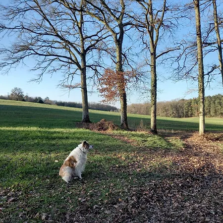 Bed & Breakfast Au Pays De Jacquou D'hotes Et Table D'hotes En Dordogne Fossemagne